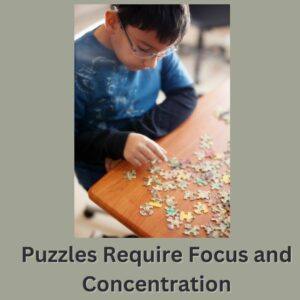 Puzzle Art Require Focus and Concentration