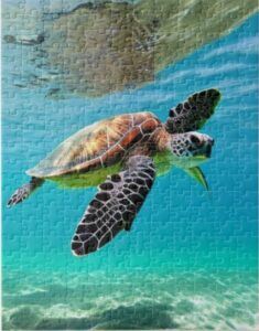 Sea Turtle Puzzle Art